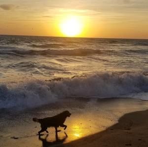 Meet your Posher, Scott